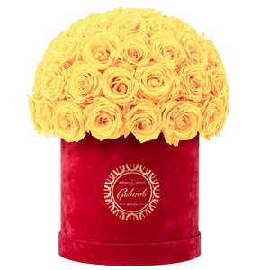 Velvet Special Collection bouquet with more than 50 Roses