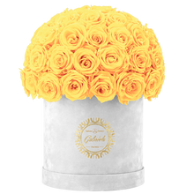 Velvet Special Collection bouquet with more than 50 Roses