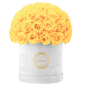 Velvet Special Collection bouquet with more than 50 Roses