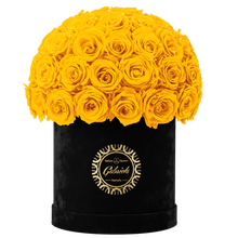 Velvet Special Collection bouquet with more than 50 Roses