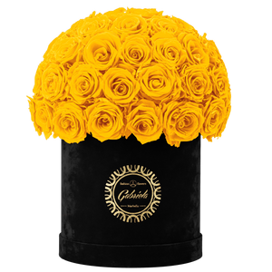 Velvet Special Collection bouquet with more than 50 Roses