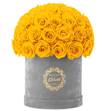 Velvet Special Collection bouquet with more than 50 Roses