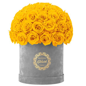 Velvet Special Collection bouquet with more than 50 Roses
