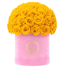 Velvet Special Collection bouquet with more than 50 Roses