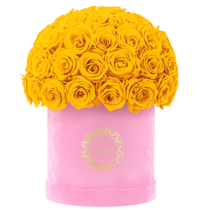 Velvet Special Collection bouquet with more than 50 Roses