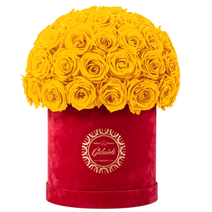 Velvet Special Collection bouquet with more than 50 Roses