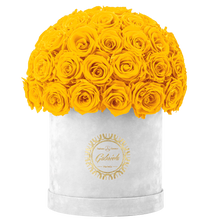 Velvet Special Collection bouquet with more than 50 Roses
