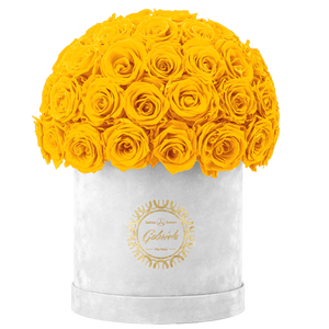 Velvet Special Collection bouquet with more than 50 Roses