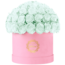 Velvet Special Collection bouquet with more than 60 Roses
