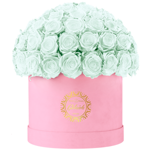 Velvet Special Collection bouquet with more than 60 Roses