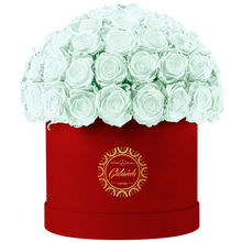 Velvet Special Collection bouquet with more than 60 Roses