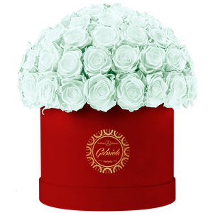 Velvet Special Collection bouquet with more than 60 Roses