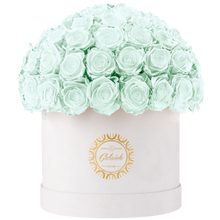 Velvet Special Collection bouquet with more than 60 Roses