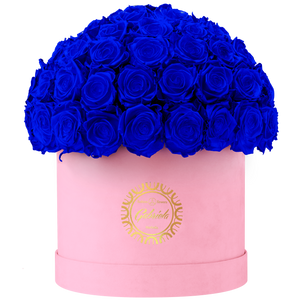 Velvet Special Collection bouquet with more than 60 Roses