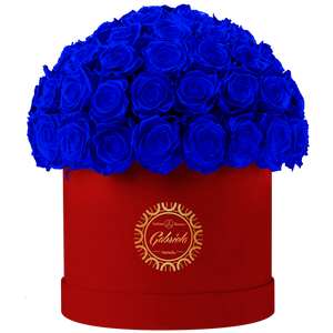 Velvet Special Collection bouquet with more than 60 Roses