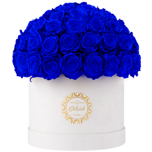 Velvet Special Collection bouquet with more than 60 Roses