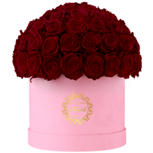 Velvet Special Collection bouquet with more than 60 Roses