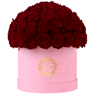 Velvet Special Collection bouquet with more than 60 Roses