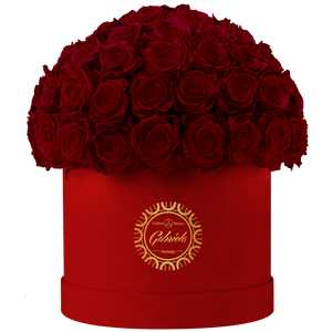 Velvet Special Collection bouquet with more than 60 Roses