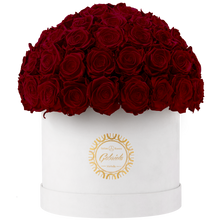 Velvet Special Collection bouquet with more than 60 Roses