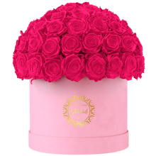 Velvet Special Collection bouquet with more than 60 Roses