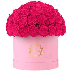 Velvet Special Collection bouquet with more than 60 Roses