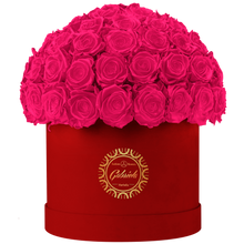 Velvet Special Collection bouquet with more than 60 Roses
