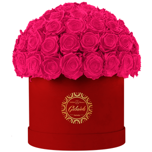 Velvet Special Collection bouquet with more than 60 Roses