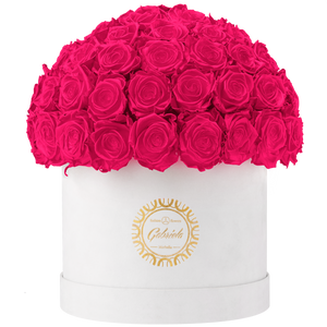 Velvet Special Collection bouquet with more than 60 Roses