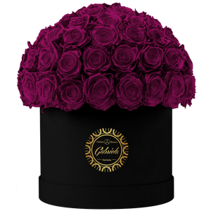 Velvet Special Collection bouquet with more than 60 Roses
