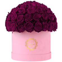 Velvet Special Collection bouquet with more than 60 Roses
