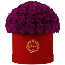 Velvet Special Collection bouquet with more than 60 Roses