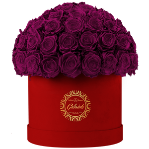 Velvet Special Collection bouquet with more than 60 Roses
