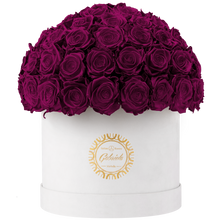Velvet Special Collection bouquet with more than 60 Roses
