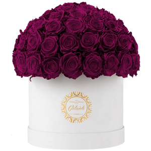 Velvet Special Collection bouquet with more than 60 Roses