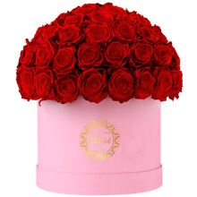 Velvet Special Collection bouquet with more than 60 Roses