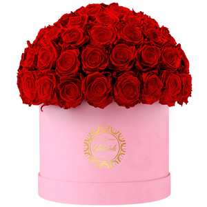 Velvet Special Collection bouquet with more than 60 Roses