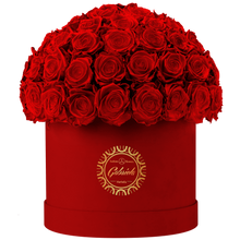 Velvet Special Collection bouquet with more than 60 Roses