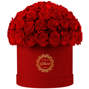 Velvet Special Collection bouquet with more than 60 Roses