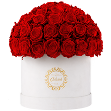 Velvet Special Collection bouquet with more than 60 Roses