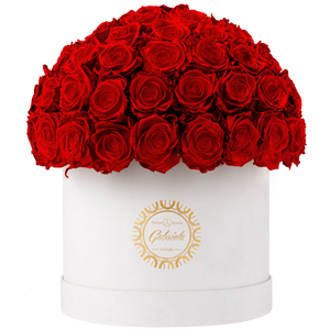 Velvet Special Collection bouquet with more than 60 Roses