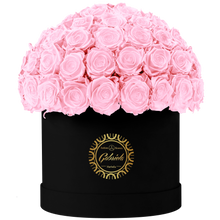 Velvet Special Collection bouquet with more than 60 Roses