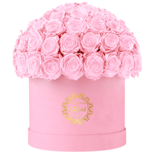 Velvet Special Collection bouquet with more than 60 Roses