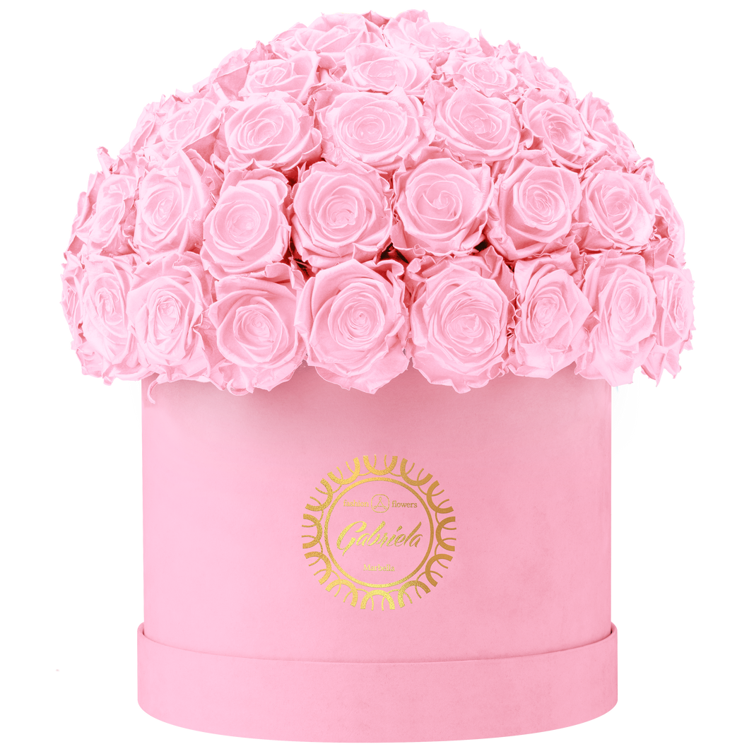 Velvet Special Collection bouquet with more than 60 Roses
