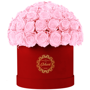 Velvet Special Collection bouquet with more than 60 Roses