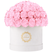 Velvet Special Collection bouquet with more than 60 Roses