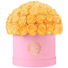 Velvet Special Collection bouquet with more than 60 Roses
