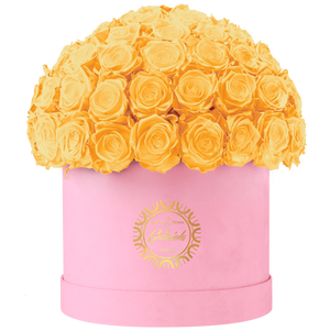 Velvet Special Collection bouquet with more than 60 Roses
