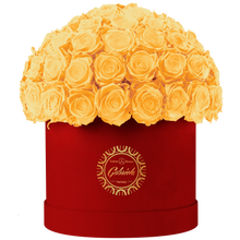 Velvet Special Collection bouquet with more than 60 Roses
