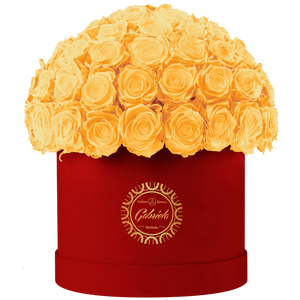 Velvet Special Collection bouquet with more than 60 Roses